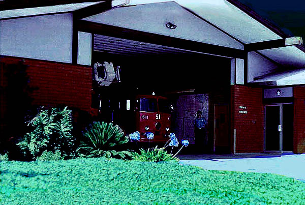 Image of 191.jpg