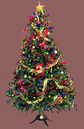 Image of christmastreeup.jpg