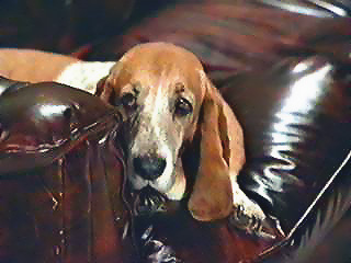 Image of henrypeek.jpg