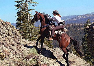 Image of image01-sm.jpg