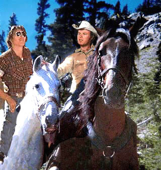 Image of mountainhorsesroyjohnny.jpg