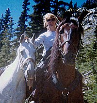 Image of mountainhorsessmall.jpg