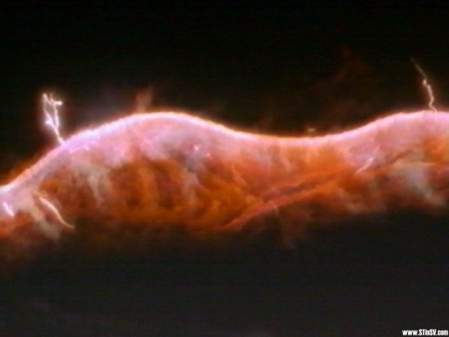 Voyagerliveaction Theater's Second Year Episode- The Q's Nexus