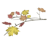 Image of anifallleaves.gif