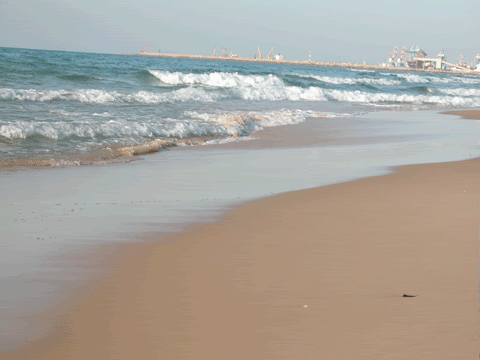 Image of anifarbeach.gif
