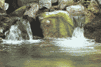 Image of aniwillowcreekfalls.gif