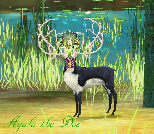 Image of ayalathedoe.jpg