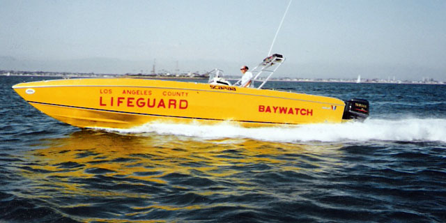 Image of baywatchscarab.jpg