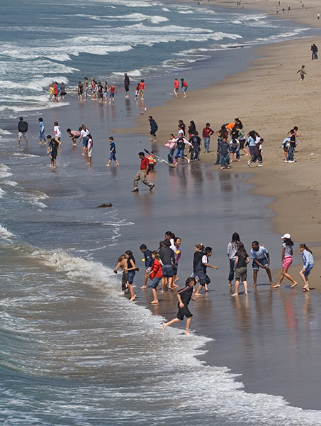 Image of beachcrowd.jpg