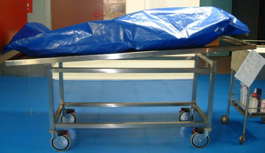 Image of bodybagbig.jpg