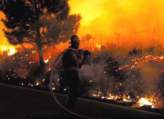 Image of brushfireroadman.jpg