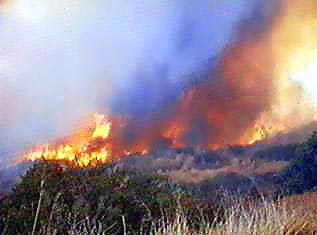 Image of brushfirewind.jpg
