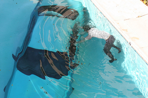 Image of carunderwater.jpg