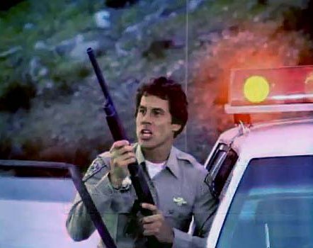 Image of chipcopsquadlightsleft.jpg