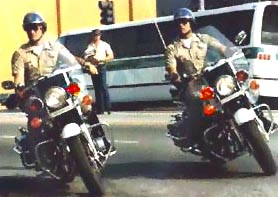 Image of chipsbikes1.jpg