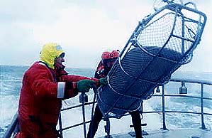 Image of coastguardstokes.jpg