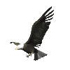 Image of eagle_talon_md_clr.gif