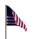 Image of anigoodflaggif.gif