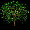 Image of aniwindytree.gif