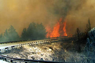 Image of brushbridge.jpg