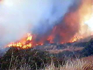 Image of brushfirewind.jpg