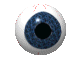 Image of e-eyeball.gif