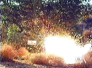 Image of electricalshocksparkbrush.jpg