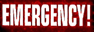 Image of emergencylogo2006red.jpg