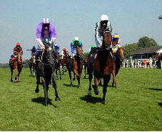 Image of horseracers.jpg