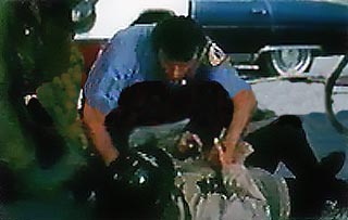 Image of marcodownroy.jpg