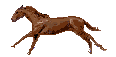 Image of runbrownhorsefullcolor.gif