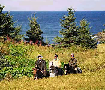 Image of threehorses.jpg