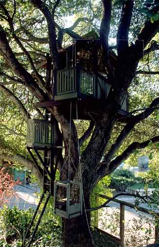 Image of treehouse.jpg