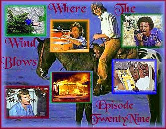 Image of wherethewindblowsbanner.jpg