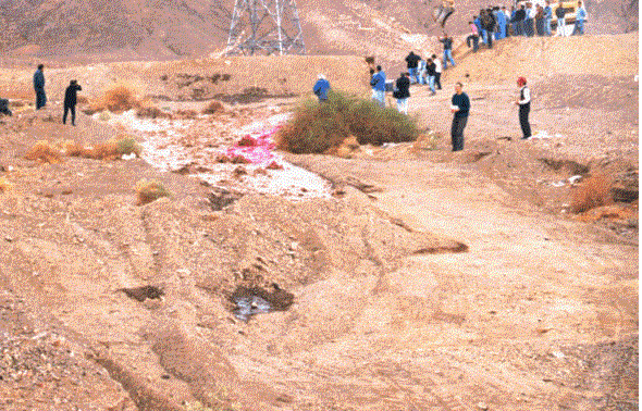 Image of dambreakgif.gif