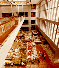 Image of mallcollapsesmall.gif