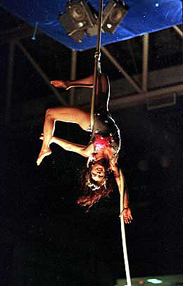 Image of circusartisttrapeze.jpg