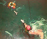 Image of rescuereach.jpg
