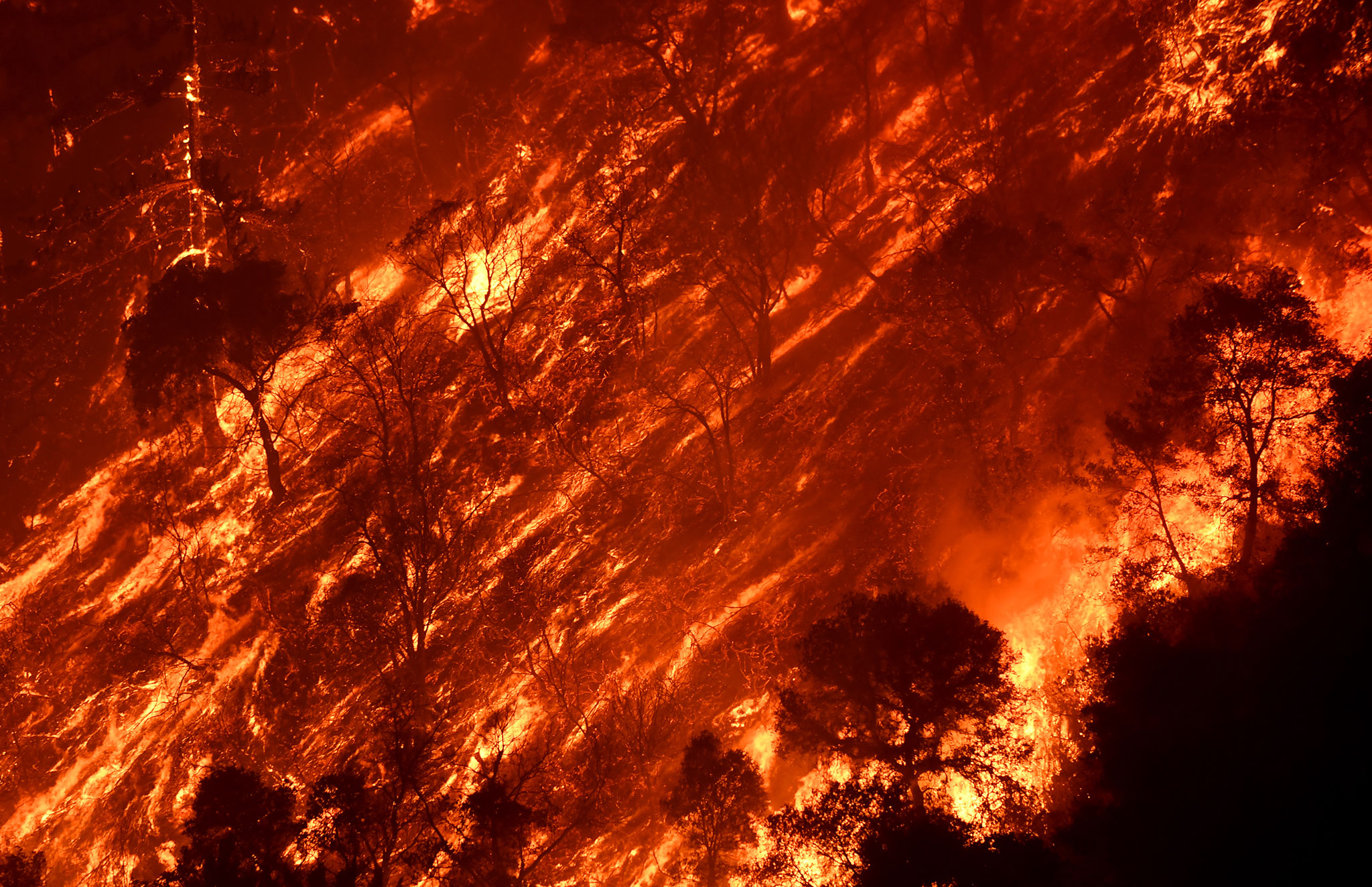 Image of brushfirecanyon.jpg