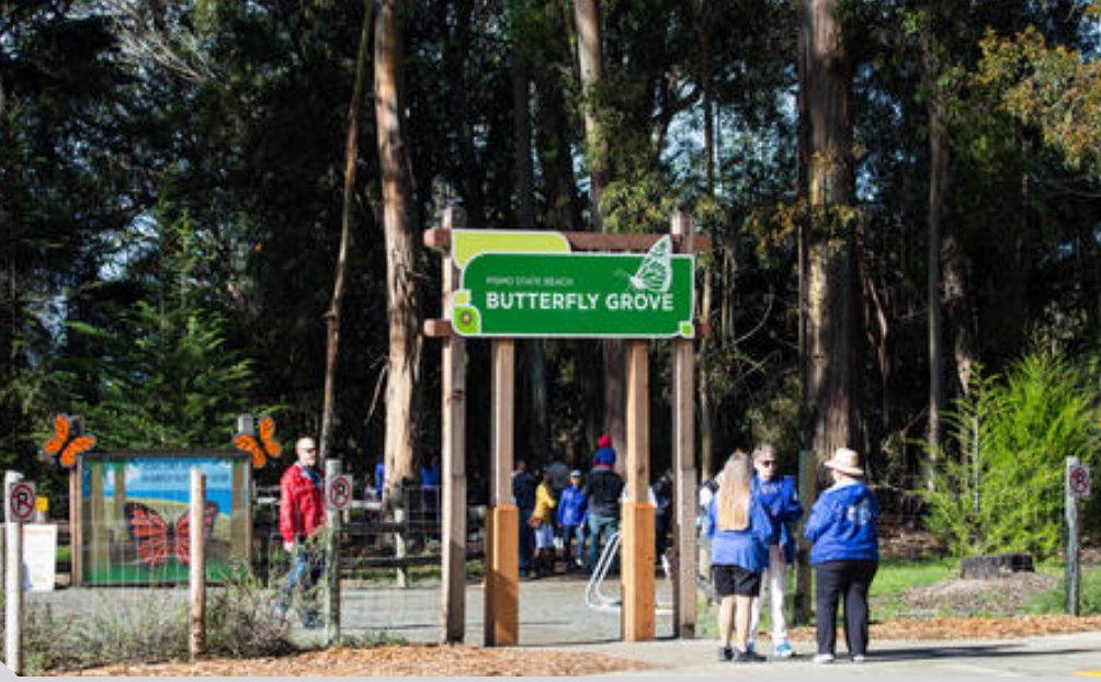 Image of butterflygrove.jpg