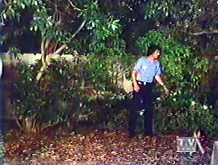Image of gagefartreessearch.jpg