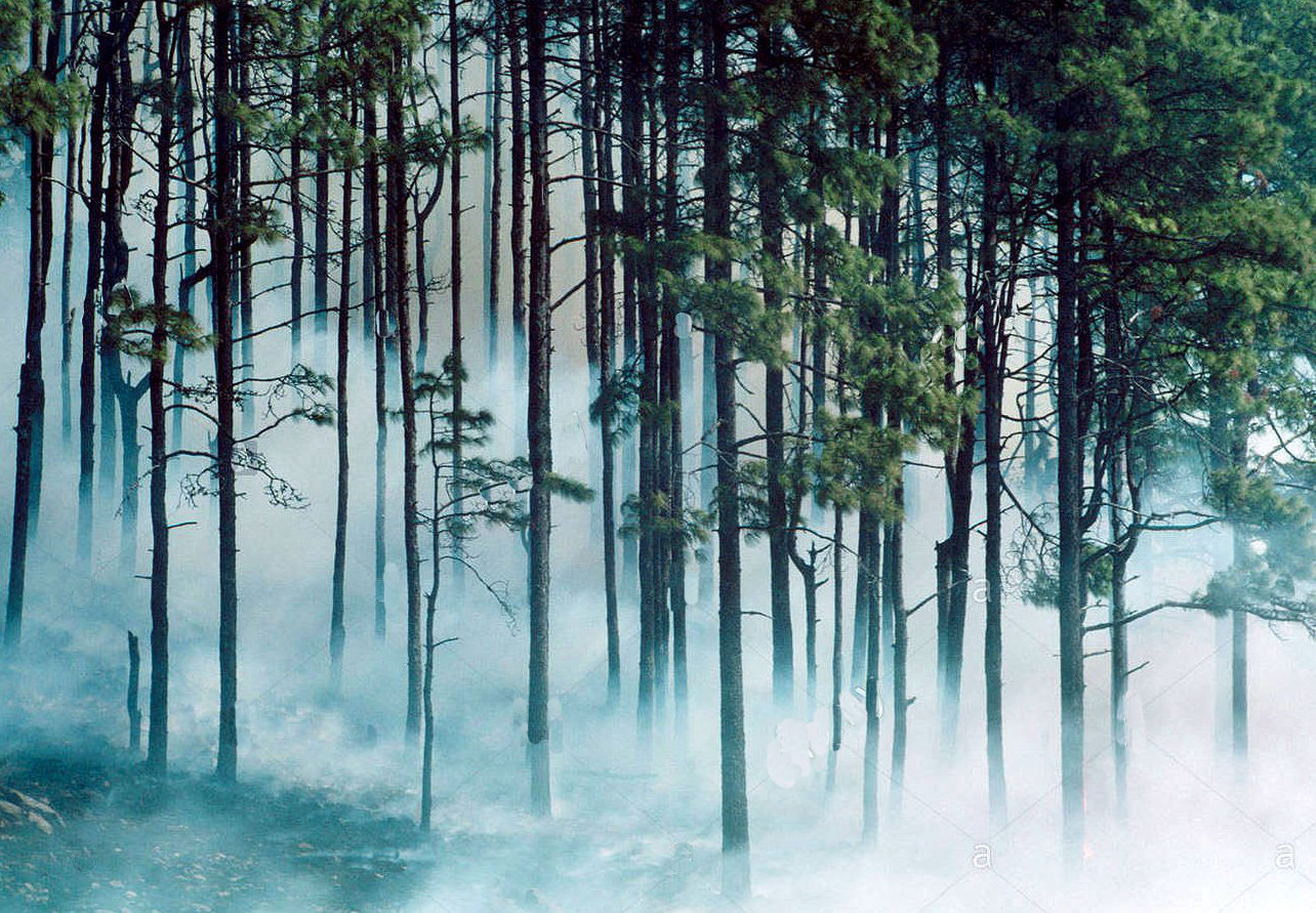 Image of grovesmoke.jpg