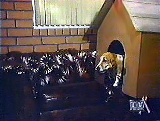 Image of henryinhouse.jpg