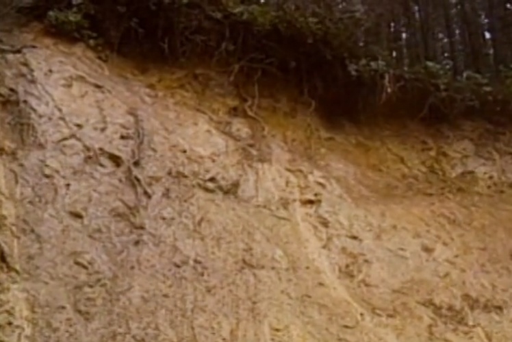 Image of mudslide1.jpg