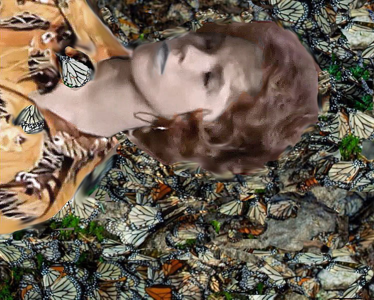 Image of pattybutterflydown.jpg