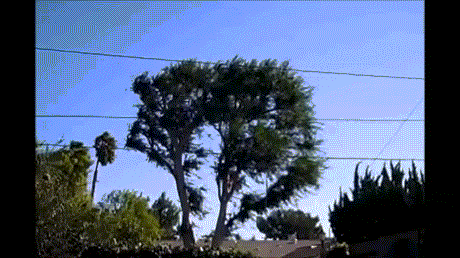 Image of santaana.gif