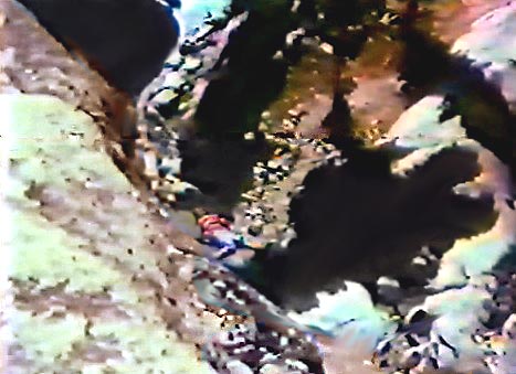 Image of sierra109.jpg