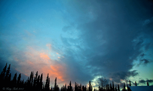 Image of sunsetpines.gif