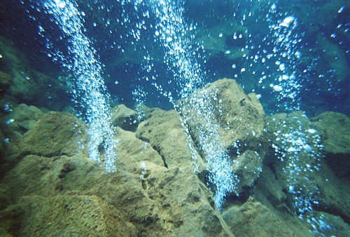 Image of underwater2.jpg