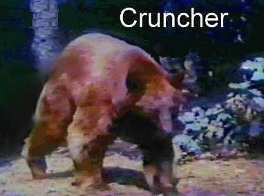 Image of west2_sierra_cruncher.jpg
